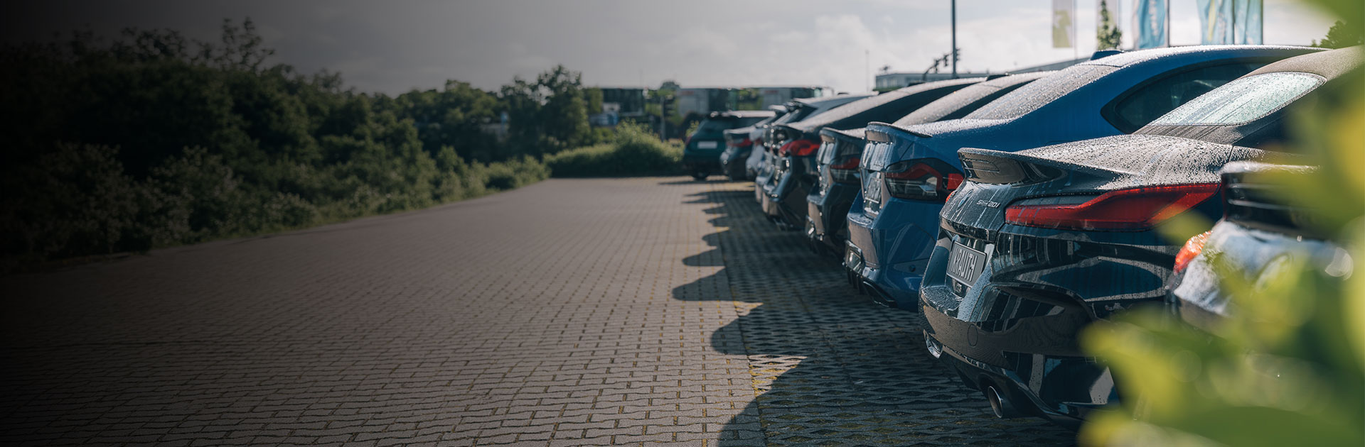 Autohaus Krauth, Junge Gebrauchte